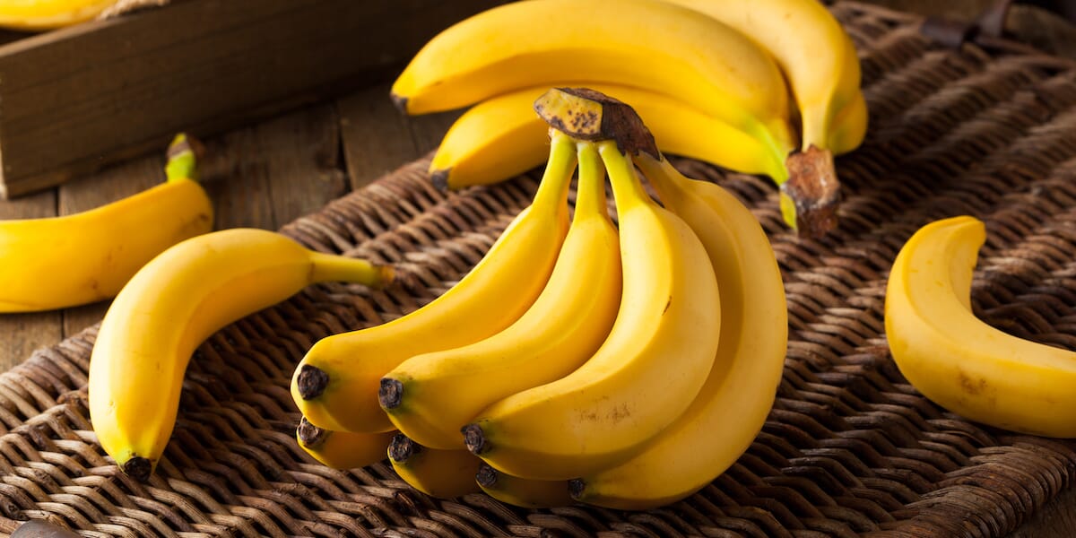 15 Excellent Health Benefits Of Bananas That You Need To Know, 15 Excellent Health Benefits Of Bananas That You Need To Know, ATLANTIC NET 15 Excellent Health Benefits Of Bananas That You Need To Know, 15 Excellent Health Benefits Of Bananas That You Need To Know