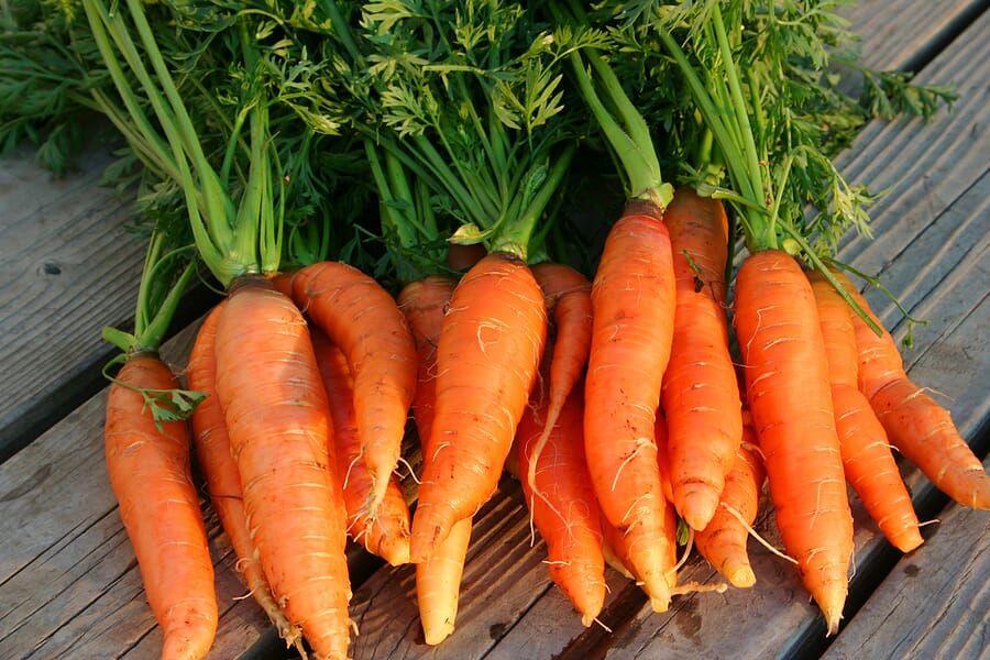 8 Health Benefits Of Carrots That You Didn't Know, 8 Health Benefits Of Carrots That You Didn’t Know, ATLANTIC NET 8 Health Benefits Of Carrots That You Didn't Know, 8 Health Benefits Of Carrots That You Didn’t Know