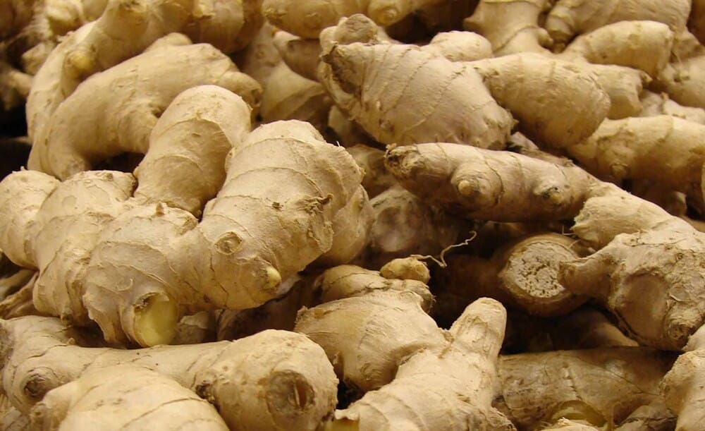 10 Interesting Health Benefits Of Ginger That You Never Knew, 10 Interesting Health Benefits Of Ginger That You Never Knew, ATLANTIC NET 10 Interesting Health Benefits Of Ginger That You Never Knew, 10 Interesting Health Benefits Of Ginger That You Never Knew