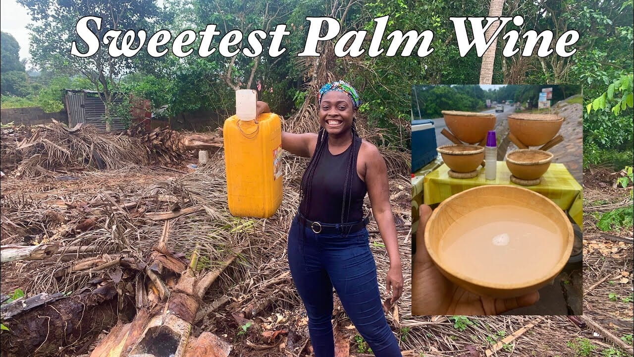 8 Health Benefits Of Palm Wine That You Didn't Know, 8 Health Benefits Of Palm Wine That You Didn’t Know, ATLANTIC NET 8 Health Benefits Of Palm Wine That You Didn't Know, 8 Health Benefits Of Palm Wine That You Didn’t Know