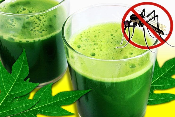 Natural Measure For Curing Constant Toothache In One Week, 9 Health Benefits Of Papaya Leaf Juice That You Didn’t Know