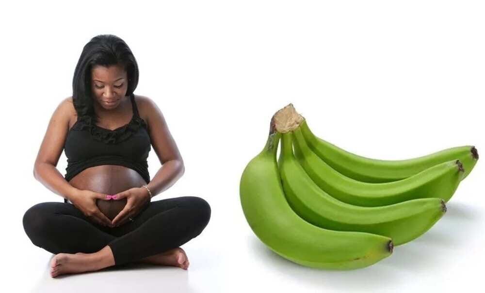 10 Health Benefits Of Unripe plantain in pregnancy, 10 Health Benefits Of Unripe plantain in pregnancy, ATLANTIC NET 10 Health Benefits Of Unripe plantain in pregnancy, 10 Health Benefits Of Unripe plantain in pregnancy