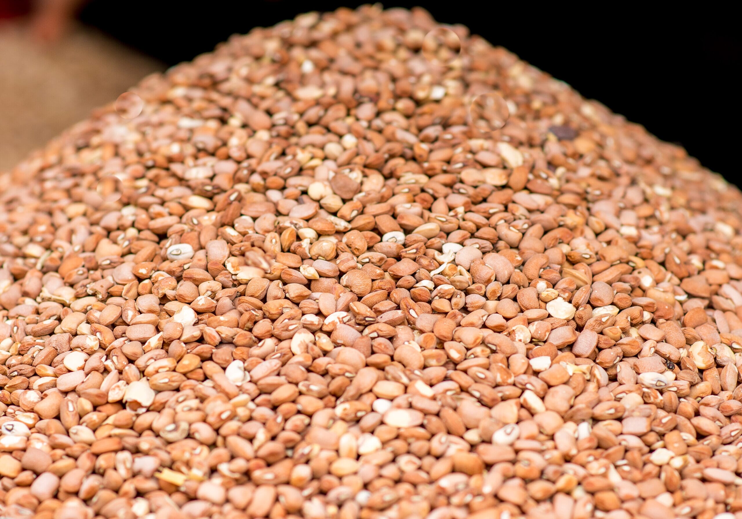 7 Amazing Health Benefits Of Sugary Brown Beans That You Need To Know, 7 Amazing Health Benefits Of Sugary Brown Beans That You Need To Know, ATLANTIC NET 7 Amazing Health Benefits Of Sugary Brown Beans That You Need To Know, 7 Amazing Health Benefits Of Sugary Brown Beans That You Need To Know